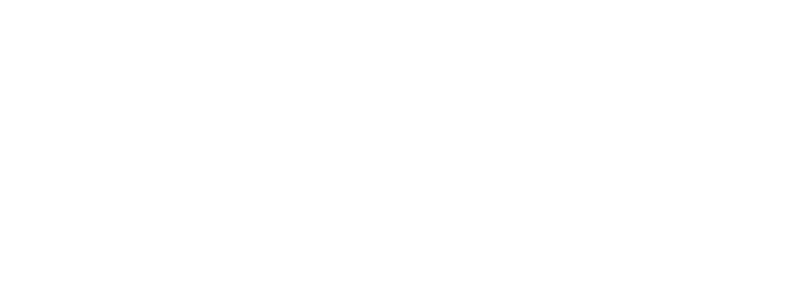 logo maxi 1 scaled