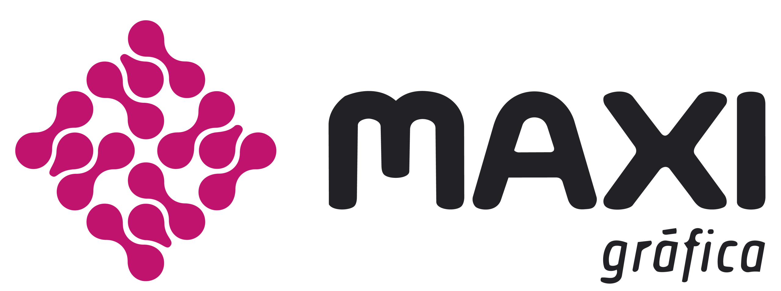 logo maxi 2 scaled